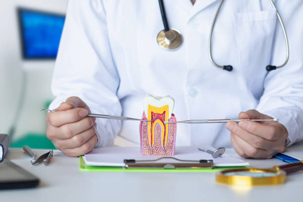 Best Emergency Treatment for Dental Infections or Abscesses in Danvle, IL